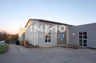 Gewerbeimmobilie mieten in 3322 Viehdorf, Große Lagerhalle auch beheizbar und Nebentrakt mit 740 m² Nutzfläche (Einfahrtstor 350x470) Industrieboden.