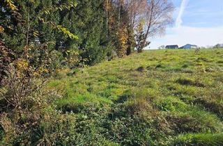 Grundstück zu kaufen in 5201 Seekirchen am Wallersee, Unweit vom Ortszentrum Obertrum am See