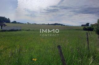 Grundstück zu kaufen in 4540 Bad Hall, TOPGrundstück in Bad Hall