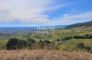 Grundstück zu kaufen in 2352 Gumpoldskirchen, Baugrundstück mit Abbruchobjekt