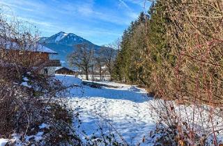 Grundstück zu kaufen in 5360 Aschau, St. Wolfgang: Wo Wald, See & Exklusivität einander begegnen