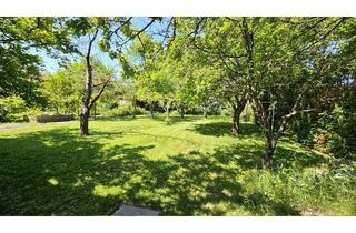 Grundstück zu kaufen in Weizenweg 39, 1220 Wien, Wunderschönes Grundstück - 1.064m2 - am Wiener Stadtrand - ideal für Doppelhaus oder kleinen Wohnbau!