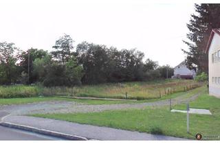 Grundstück zu kaufen in 7511 Kotezicken, Kotezicken: Großes Grundstück in zentraler Lage