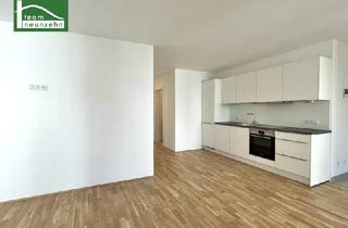 Penthouse kaufen in Taubergasse, 1170 Wien, Modernes Wohnen trifft perfekte Lage – Alle Einheiten vermietet!