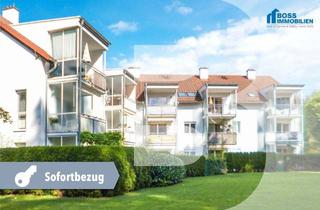 Wohnung mieten in Begonienstraße, 4484 Kronstorf, Harmony