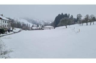 Grundstück zu kaufen in 3353 Seitenstetten, Ländlich sowie ruhig gelegen mit kleiner Nachbarschaft.