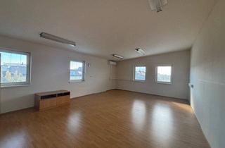 Büro zu mieten in 7100 Neusiedl am See, Neusiedl am See - modernes, großzügiges Wohn- bzw. Bürogebäude