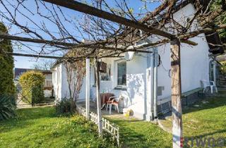 Einfamilienhaus kaufen in 2752 Wöllersdorf, ENTZÜCKENDES KLEINFAMILIENHAUS MIT WEINKELLER / SCHÖNER GARTEN MIT TERRASSE, GRILLHÜTTE UND SCHUPFEN / VIEL POTENZIAL / RUHIGE SIEDLUNGSLAGE