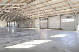 Büro zu mieten in 2201 Hagenbrunn, HALLE für Lagerung oder Produktion + BÜRO gleich bei Wien Nord // 100 kWp Photovoltaik + Luftwärmepumpe // Nähe G3, Autobahn, Brünner Straße