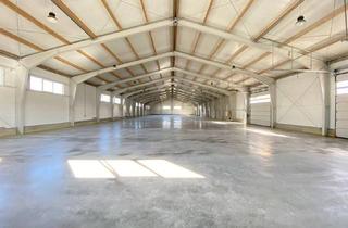 Büro zu mieten in 2201 Hagenbrunn, HALLE für Lagerung oder Produktion + BÜRO gleich bei Wien Nord // 50 kWp Photovoltaik + Luftwärmepumpe // Nähe G3, Autobahn, Brünner Straße