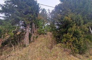 Grundstück zu kaufen in 3400 Weidlingbach, SONNIGE LEBENSQUALITÄT: ZWEI BAUGRUNDSTÜCKE IN WEIDLINGBACH MIT HOHER LEBENSQUALITÄT OHNE BAUZWANG