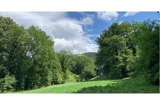 Grundstück zu kaufen in 2371 Hinterbrühl, Exklusives Baugrundstück mit Park südlich von Wien