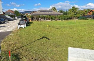 Grundstück zu kaufen in 2542 Kottingbrunn, Unverbaubares Eckgrundstück