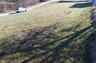 Grundstück zu kaufen in 8075 Hart bei Graz, Sonniges, zentrales Grundstück in Hart bei St.Peter