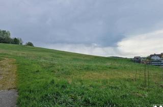 Grundstück zu kaufen in 3610 Maigen, Aussergewöhnliches Baugrundstück in Maigen mit Herrlichem Aus- und Fernblick in Toller, Ruhiger, Erhöhter Wohnlage