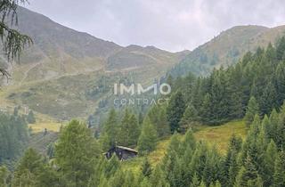 Immobilie kaufen in 9981 Winkl, Waldparzellen am Fuße des Großglockners