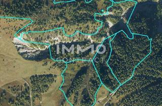 Immobilie kaufen in 9981 Winkl, Waldparzellen am Fuße des Großglockners