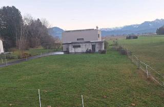 Grundstück zu kaufen in 6812 Meiningen, Baugrundstück zum Kauf: Ideales Grundstück für Ihr Traumhaus!