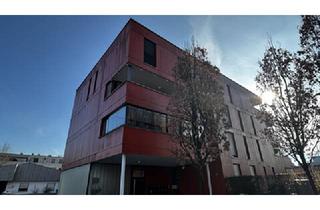 Wohnung mieten in 6850 Dornbirn, Großzügige 2-Zimmerwohnung in schöner Wohngegend in Dornbirn zu vermieten