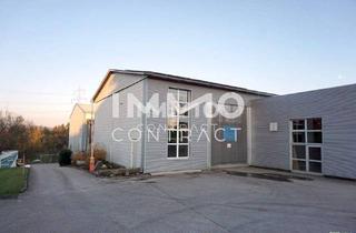Gewerbeimmobilie mieten in 3322 Viehdorf, Große Lagerhalle auch beheizbar und Nebentrakt mit 740 m² Nutzfläche (Einfahrtstor 350x470) Industrieboden.