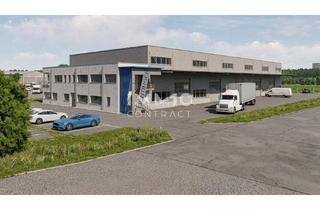 Büro zu mieten in 4300 Sankt Valentin, Neue moderne Produktions- und oder Lagerhalle mit Bürotrakt in bester Lage von St. Valentin