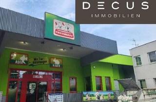 Büro zu mieten in Albert-Schweitzer-Gasse, 1140 Wien, + + + GESCHÄFTSFLÄCHE IM FMZ Albert-Schweitzer-Gasse + + + NÄHE AUHOFCENTER + + +