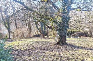 Grundstück zu kaufen in 4209 Außertreffling, Eigenheim oder wertbeständige Anlage