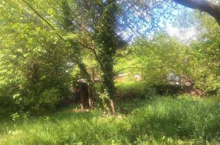 Grundstück zu kaufen in 4209 Außertreffling, Sonniges Bau- oder Freizeitgrundstück