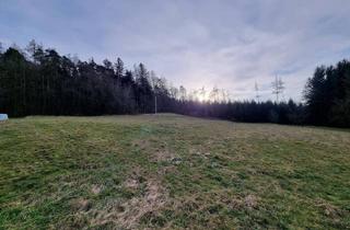 Grundstück zu kaufen in Waldgasse, 3143 Heuberg, Sonniger Baugrund am Waldrand