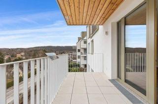 Wohnung mieten in 2340 Mödling, 3-Zimmer-Traumwohnung mit Outdoor-Pool, Fitnessraum, Sauna und Gemeinschaftsgarten - Wohnanlage GARTENPARK