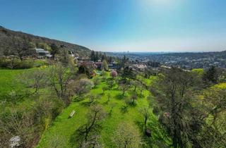 Villen zu kaufen in 1190 Wien, Die Strauss-Villa in Döbling