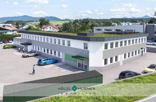 Büro zu mieten in 5201 Seekirchen am Wallersee, Große Büroflächen in Seekirchen - Erstbezug!