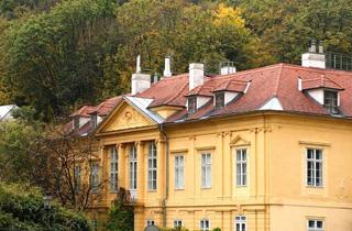 Wohnung kaufen in Zwillinggasse, 1190 Wien, Exklusives Wohnen in einem historischen Schlösschen