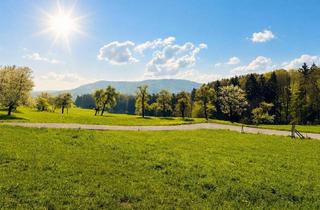 Grundstück zu kaufen in 4400 Saaß, Ruhig gelegenes Baugrundstück mit 648 m² in Garsten (Saaß) – aufgeschlossen & mit Fernblick