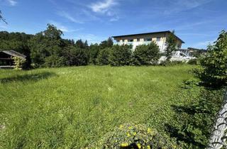Grundstück zu kaufen in 4400 Sankt Ulrich bei Steyr, Baugrundstück in Bestlage von St. Ulrich – seltene Gelegenheit um nur € 183,–/m²