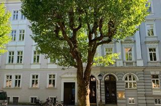 Büro zu mieten in Franz-Josef-Straße, 5020 Salzburg, Barrierefrei! Büro, Praxis bzw. Ordination in generalsaniertem Juwel Andräviertel