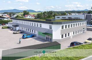 Büro zu mieten in 5201 Seekirchen am Wallersee, Große Büroflächen in Seekirchen - Erstbezug!