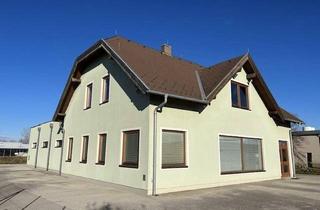 Büro zu mieten in 2722 Weikersdorf am Steinfelde, BÜRO - HAUS mit Lager oder Produktionshalle und Freifläche im Industriegebiet