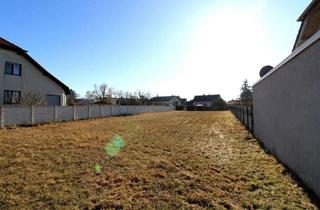 Grundstück zu kaufen in 2231 Strasshof an der Nordbahn, Ihr Bauprojekt im Grünen: Großes Grundstück mit flexiblen Möglichkeiten in Strasshof an der Nordbahn