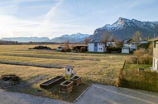 Grundstück zu kaufen in 5020 Salzburg, Villen-Grundstück Leopoldskron-Moos