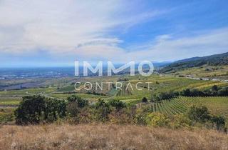 Grundstück zu kaufen in 2352 Gumpoldskirchen, Baugrundstück mit Abbruchobjekt