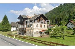 Agrarfläche kaufen in 9772 Dellach, Grünflächen mit Altbestand