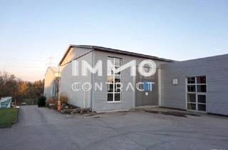 Immobilie mieten in 3322 Viehdorf, Große Produktionshalle auch beheizbar und Nebentrakt mit 740 m² Nutzfläche (Einfahrtstor 350x470) Industrieboden.