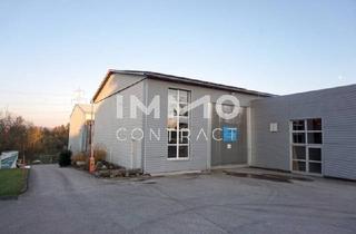 Immobilie mieten in 3322 Viehdorf, Große Produktionshalle auch beheizbar und Nebentrakt mit 740 m² Nutzfläche (Einfahrtstor 350x470) Industrieboden.