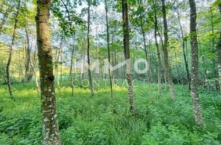 Grundstück zu kaufen in 3321 Stephanshart, Erholung pur im eigenen Wald mit Bach und Wiesen nähe Amstetten