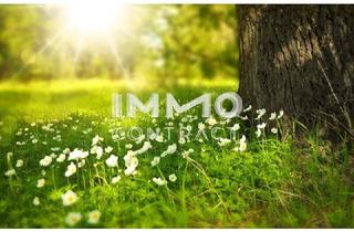 Grundstück zu kaufen in 7464 Markt Neuhodis, ***Preis-Hit****Schönes Grundstück mit Weitblick & bestehendem Stromanschluss