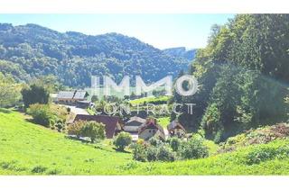 Grundstück zu kaufen in 4381 Sankt Nikola an der Donau, Baugrund 1.177 m² mit Donaublick - Südhang - mit angrenzenden kleinen Grünland 255 m² - St. Nikola