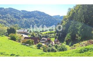 Grundstück zu kaufen in 4381 Sankt Nikola an der Donau, Baugrund 1.177 m² mit Donaublick - Südhang - mit angrenzenden kleinen Grünland 255 m² - St. Nikola