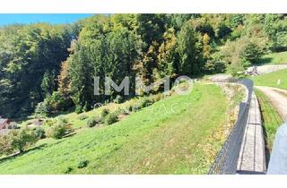 Grundstück zu kaufen in 4381 Sankt Nikola an der Donau, Baugrund 1.177 m² mit Donaublick - Südhang - mit angrenzenden kleinen Grünland 255 m² - St. Nikola