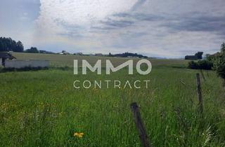 Grundstück zu kaufen in 4540 Bad Hall, ++TOP Grundstück in Bad Hall++